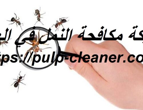 شركة مكافحة النمل في العين |0547106714| النمل الابيض